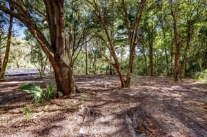 8-web-or-mls-8_River Landing Lot 26