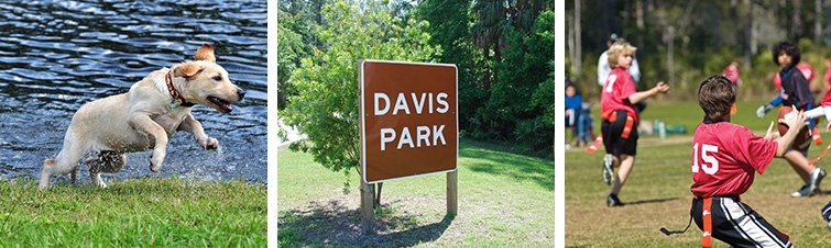 Davis-Explore.jpg