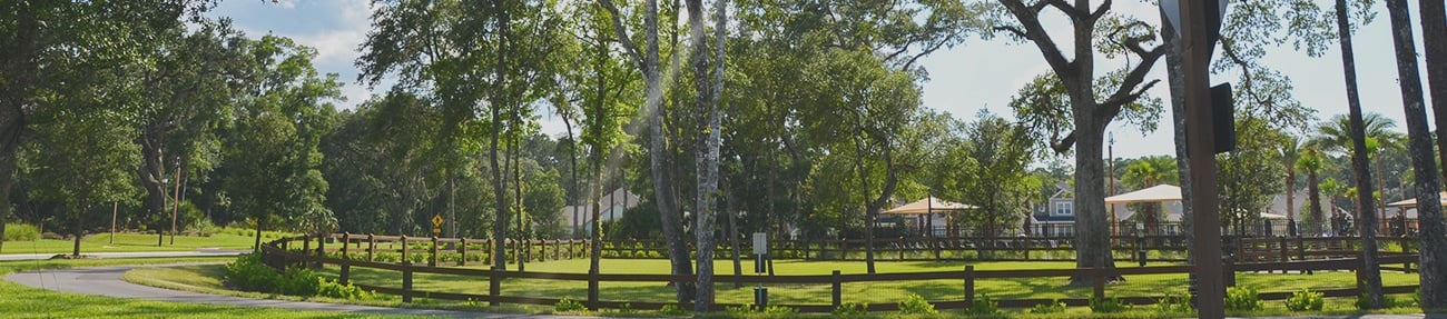 twentymilepark.jpg