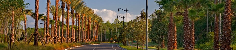 Nocatee_Land_to_Purchase_Header_Pic.jpg