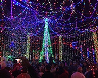 Events | Nocatee A Glow 