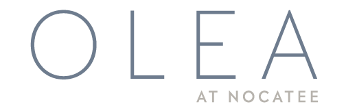 Olea-at Nocatee-1