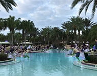 Polar Plunge