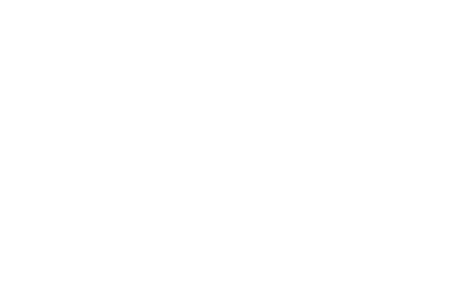 Pulte_WHITE PNG.png