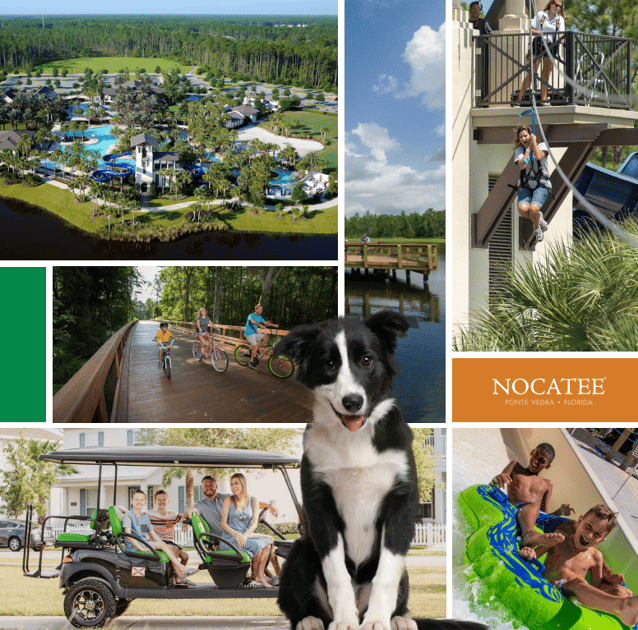 Nocatee Lifestyle Brochure Nocatee Lifestyle Brochure