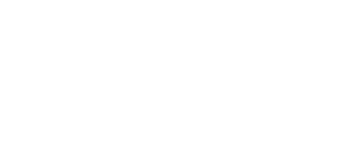 seabrook-village-logo-WHITE CROPPED