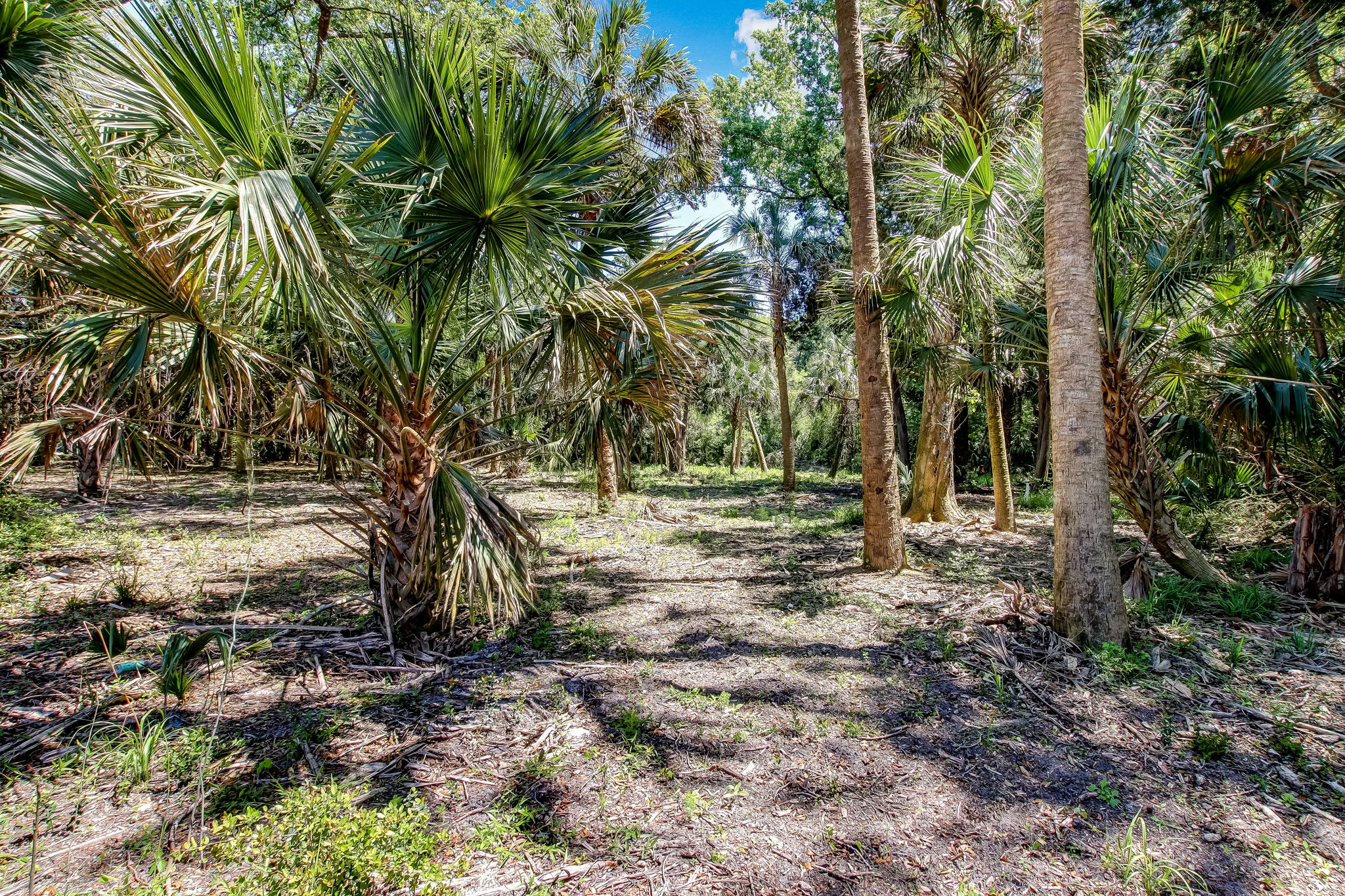 1-web-or-mls-1_River Landing Lot 29