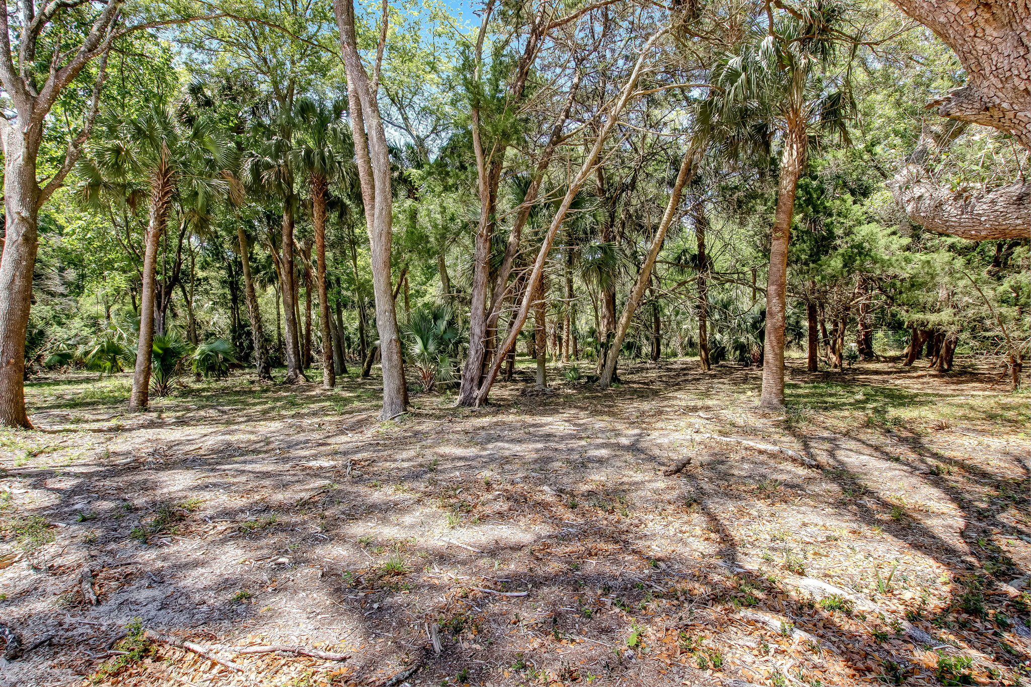 1-web-or-mls-1_River Landing Lot 30