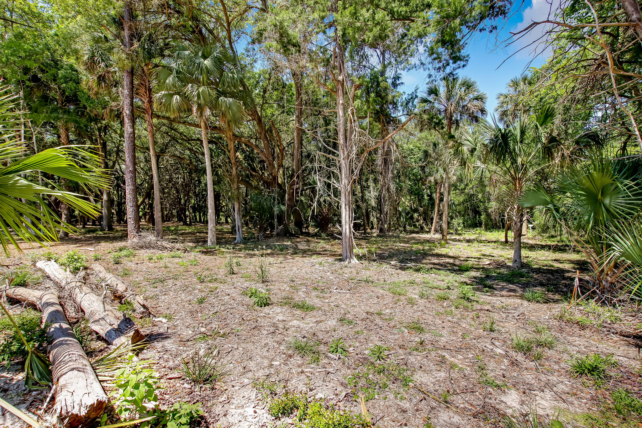 1-web-or-mls-1_River Landing Lot 34