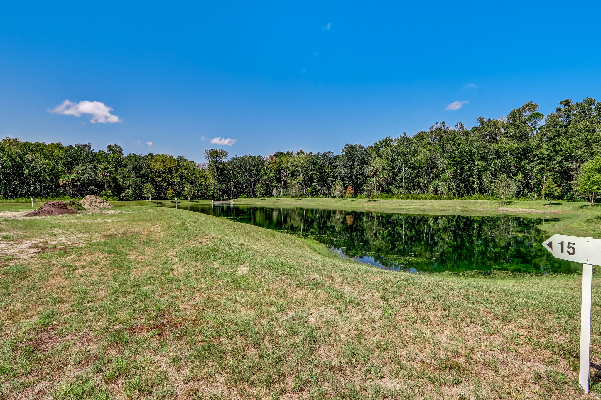 11-web-or-mls-11_River Landing Lot 15-2