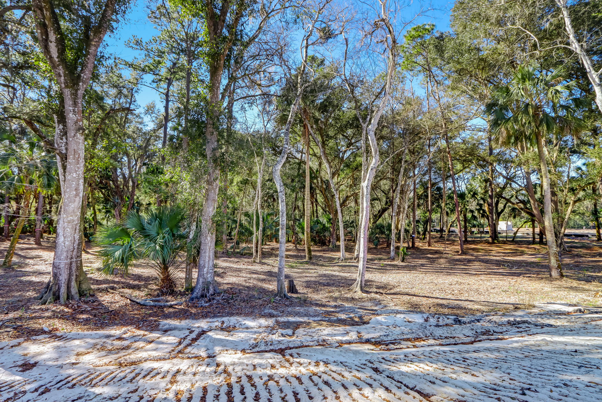 11-web-or-mls-11_River Landing Lot 46 HiRes