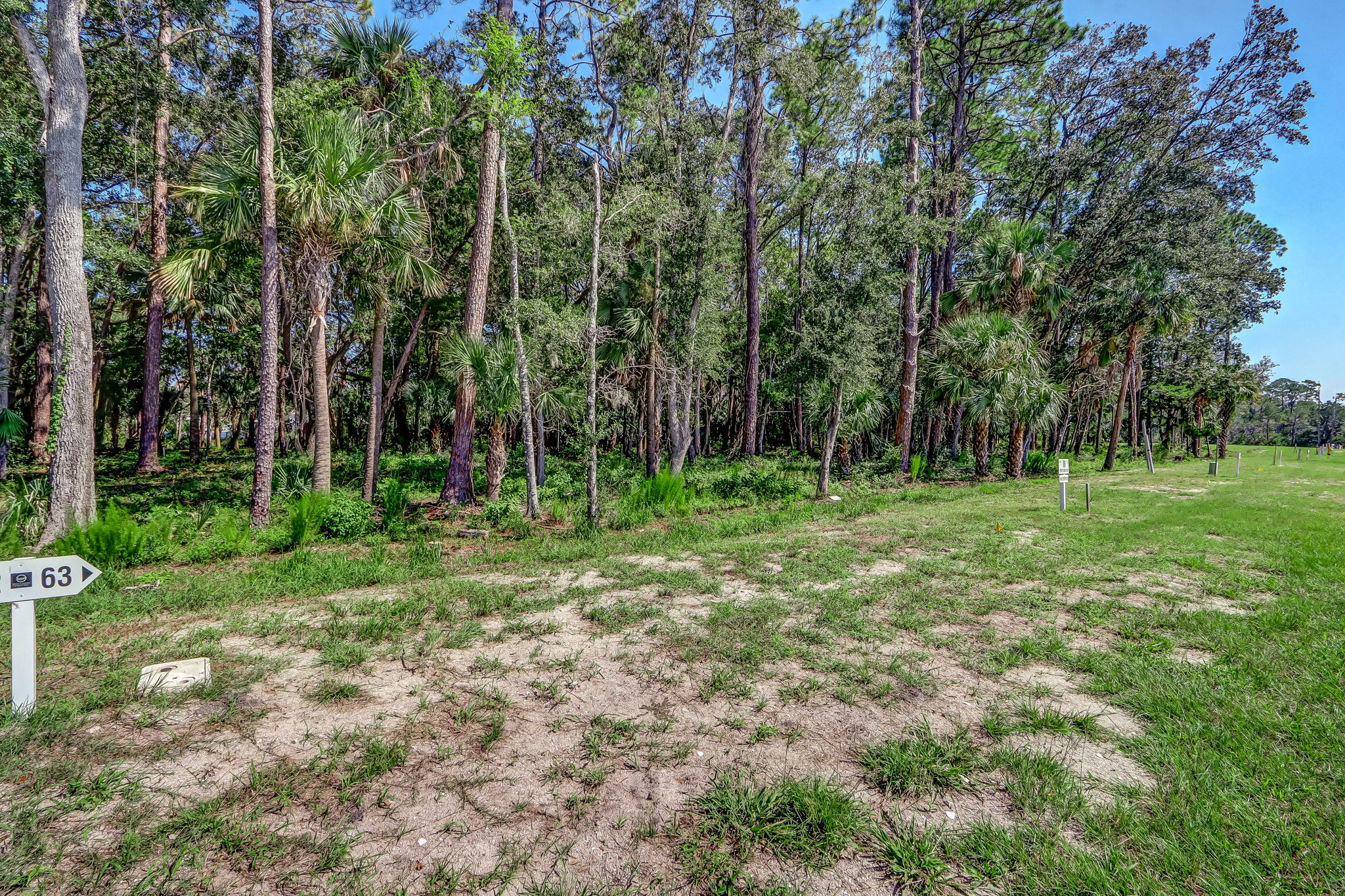 11-web-or-mls-11_River Landing Lot 63-1