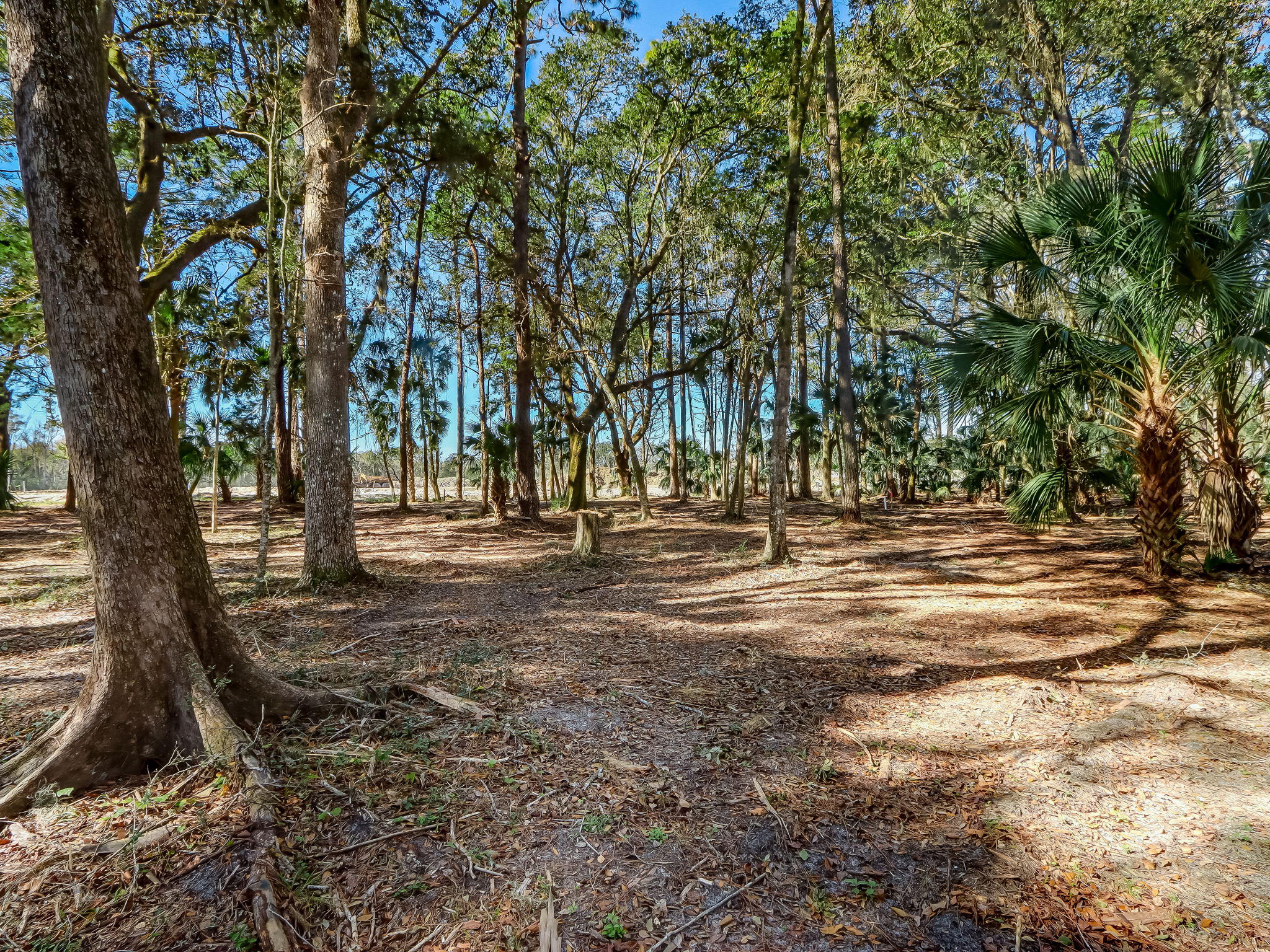 11-web-or-mls-11_River Landing Lot 63