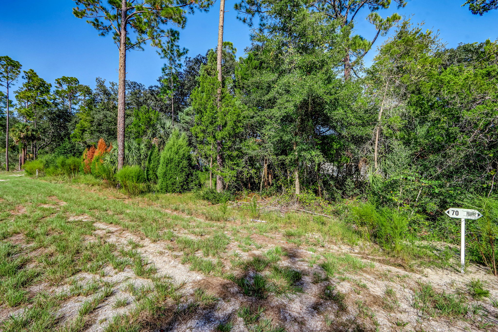 11-web-or-mls-11_River Landing Lot 70