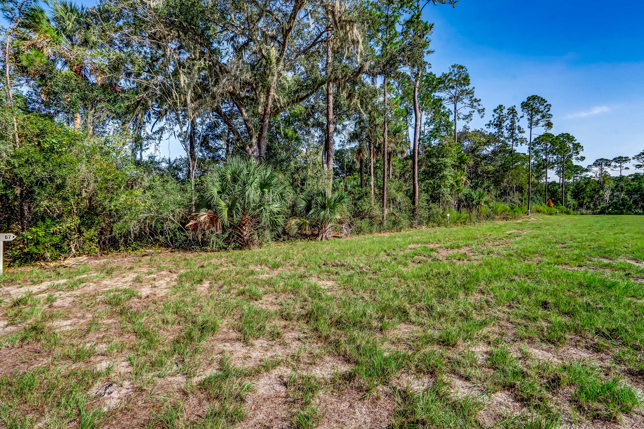 12-web-or-mls-12_River Landing Lot 67