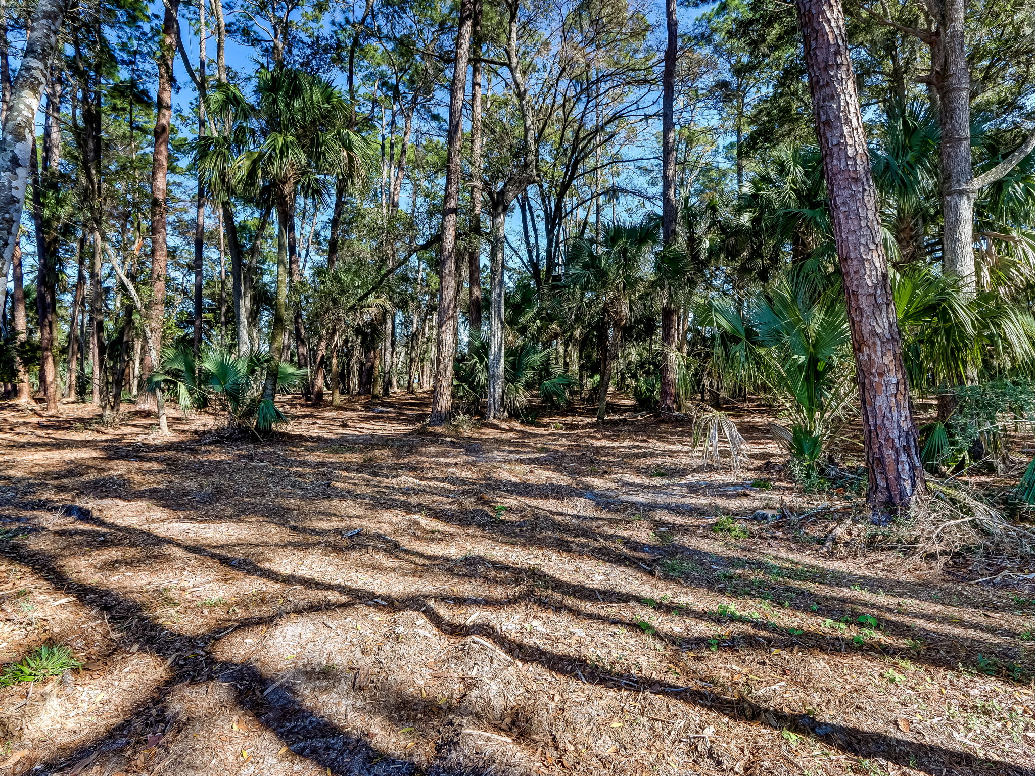 13-web-or-mls-13_River Landing Lot 62