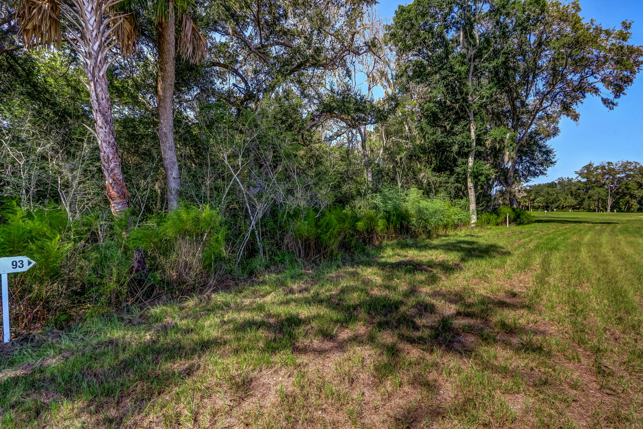 15-web-or-mls-15_River Landing Lot 93