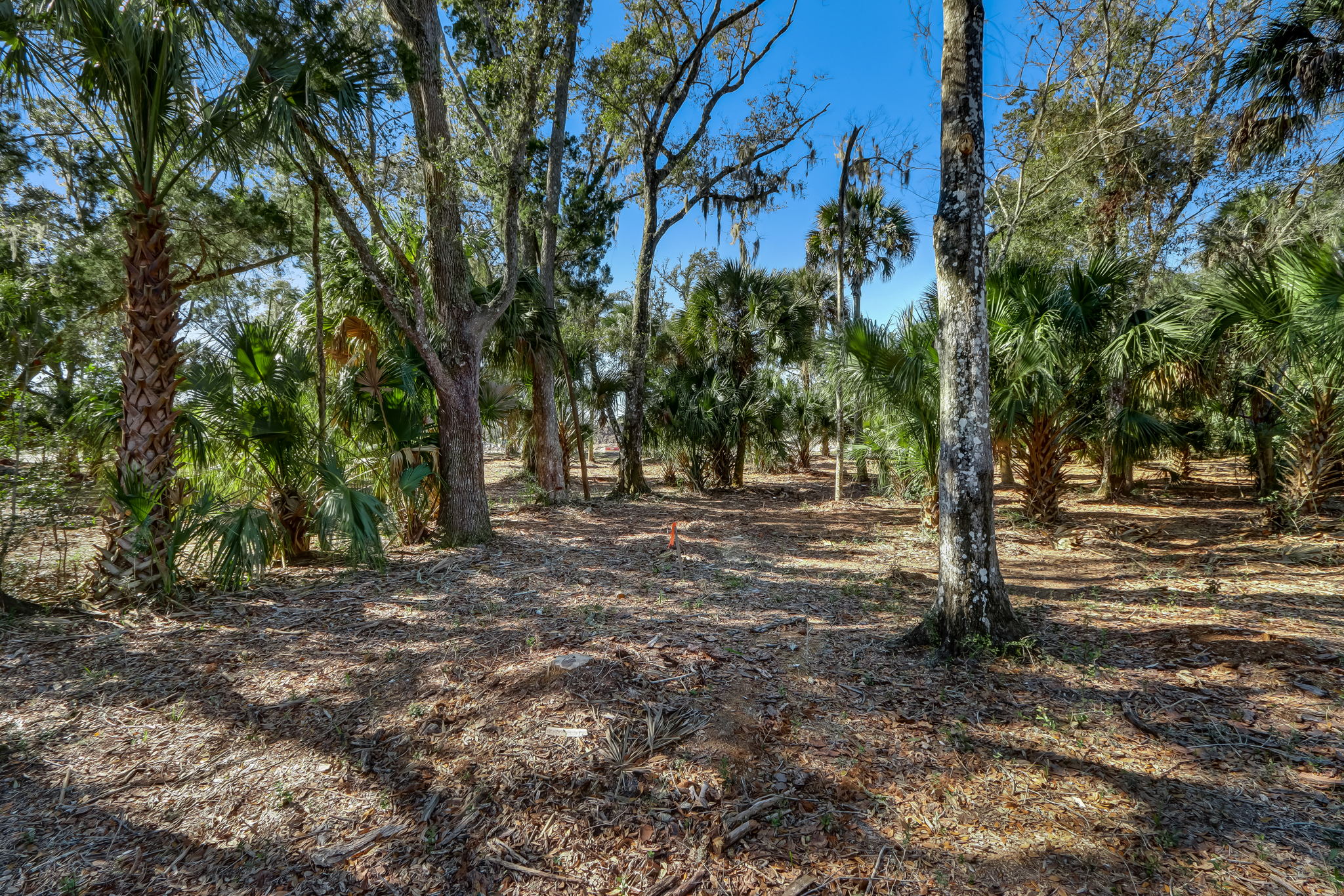 17-web-or-mls-17_River Landing Lot 57 HiRes-1