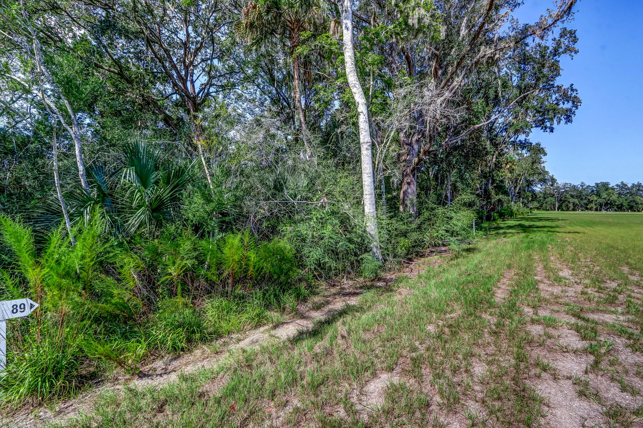 17-web-or-mls-17_River Landing Lot 89