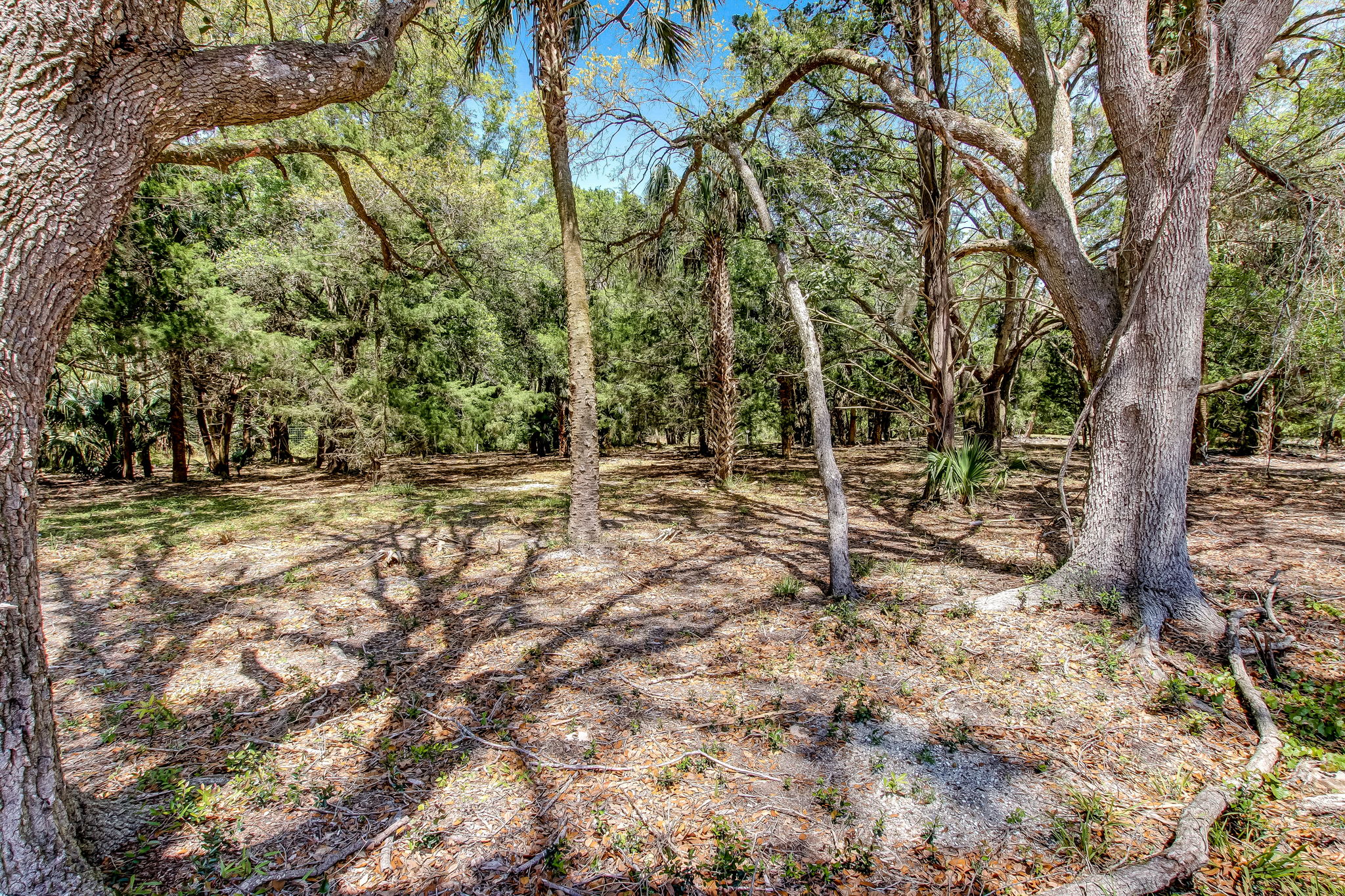 2-web-or-mls-2_River Landing Lot 31