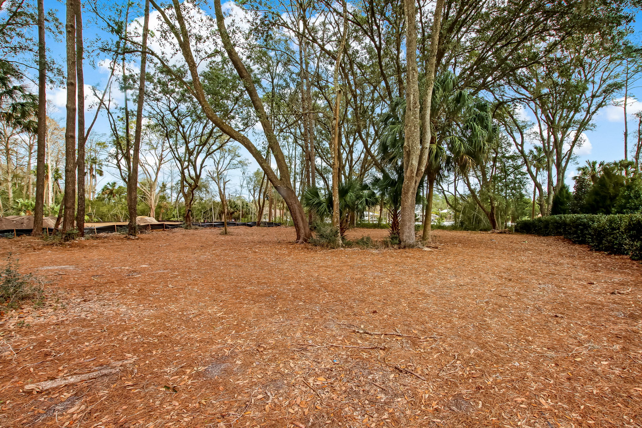3-web-or-mls-3_River Landing - Lot 47