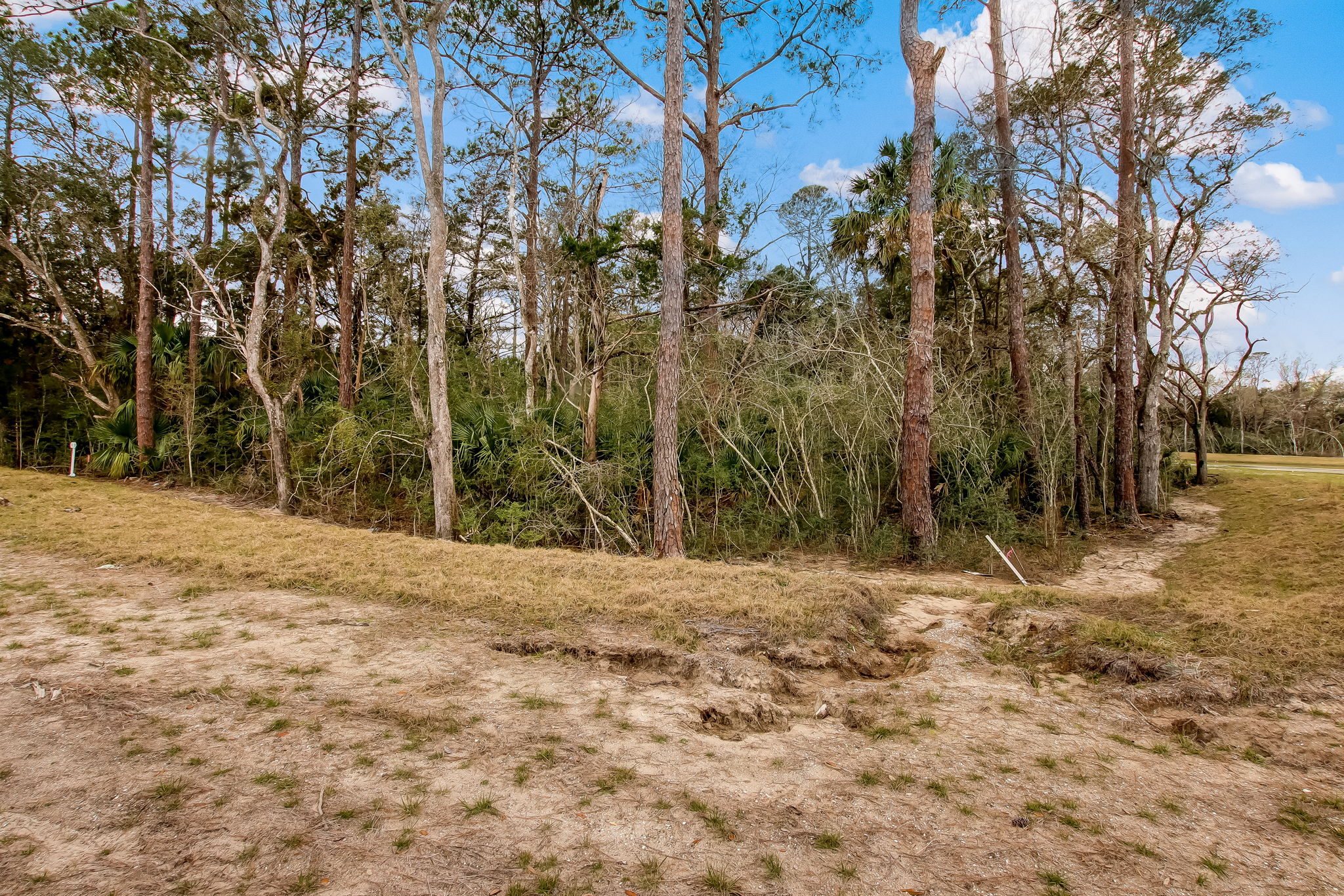 3-web-or-mls-3_River Landing - Lot 72