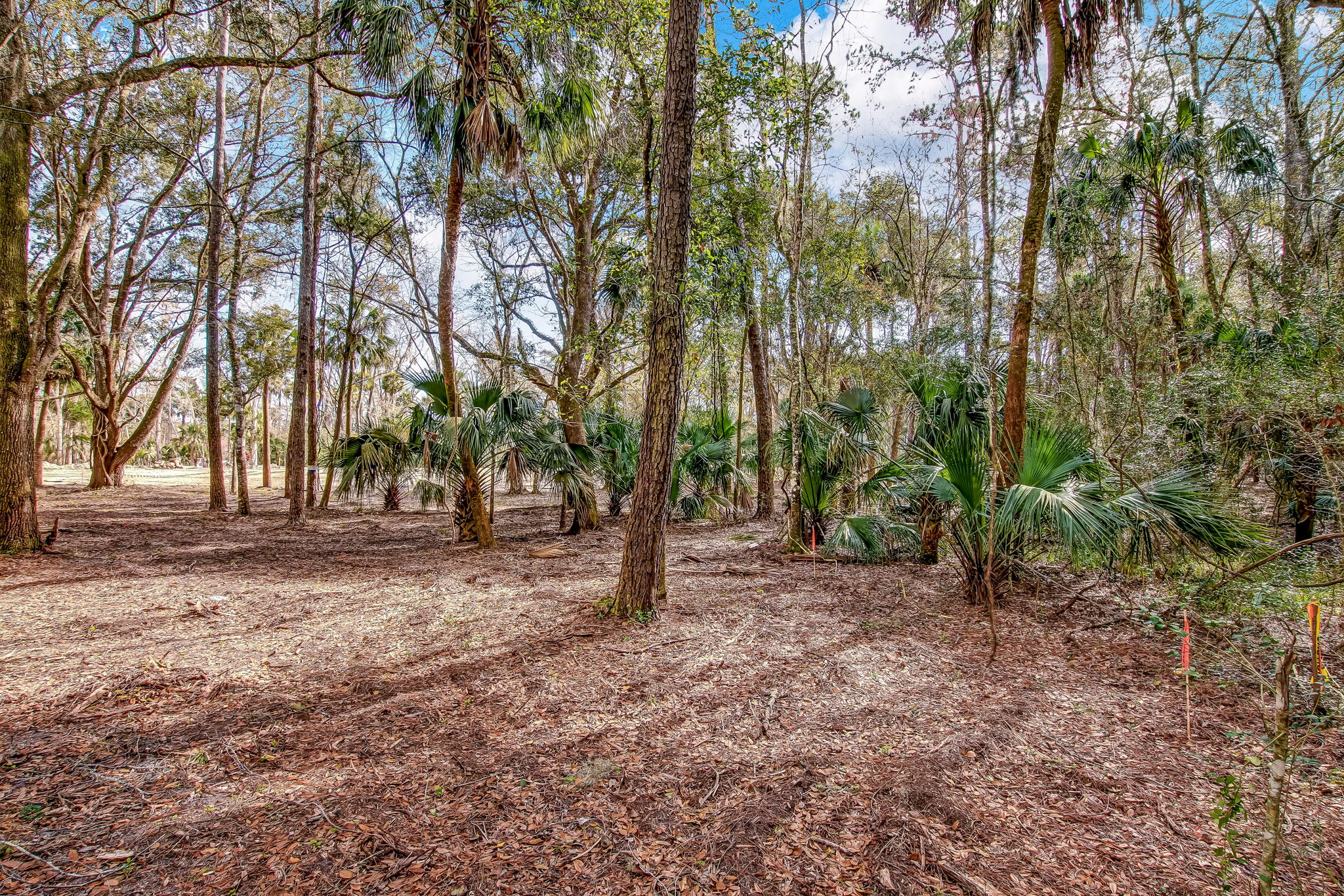 3-web-or-mls-3_River Landing Lot 21