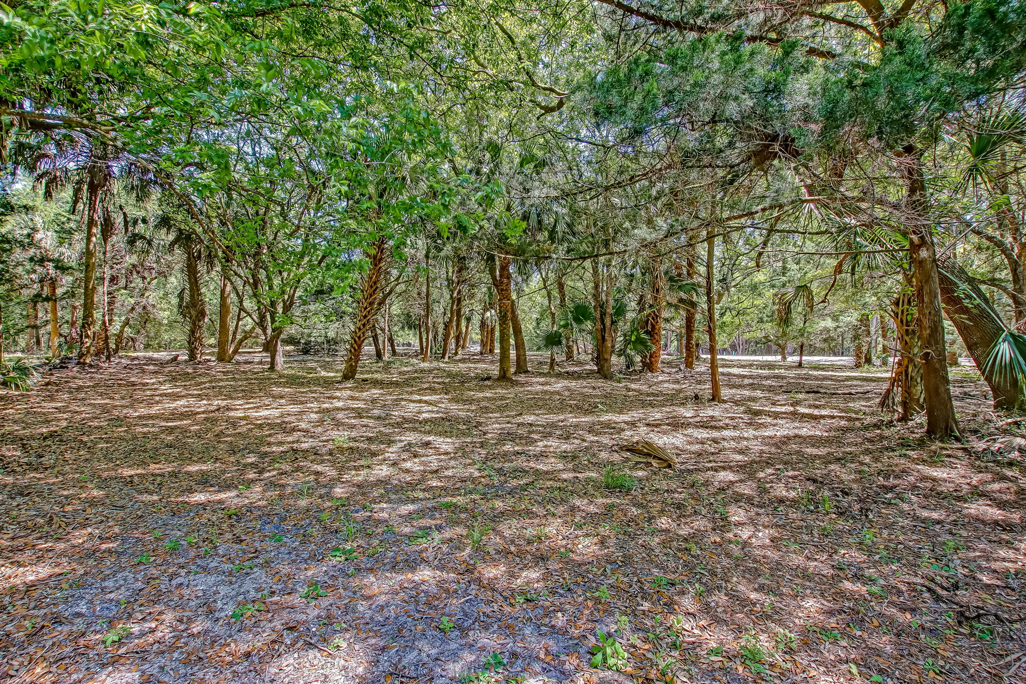 3-web-or-mls-3_River Landing Lot 31