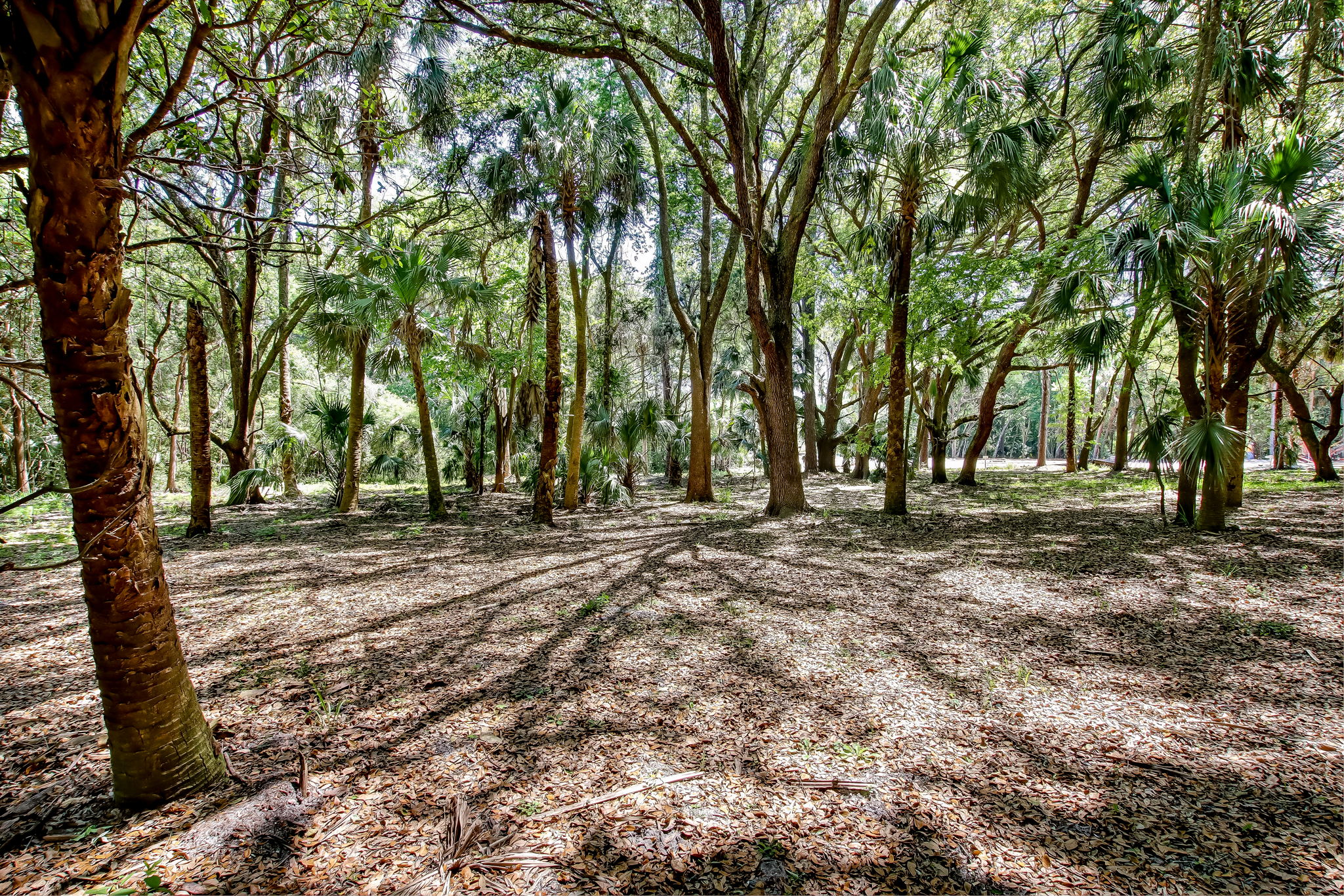 3-web-or-mls-3_River Landing Lot 34