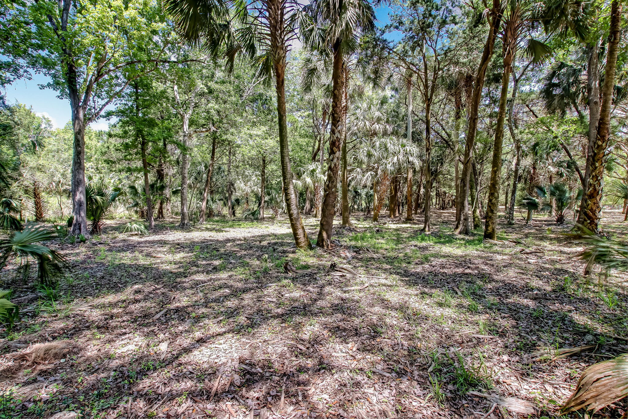 4-web-or-mls-4_River Landing Lot 30