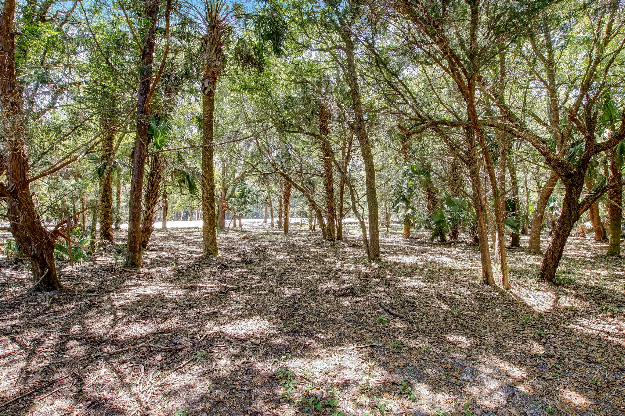 4-web-or-mls-4_River Landing Lot 31