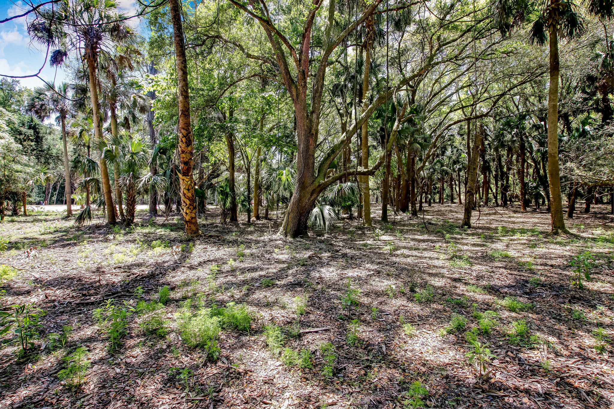 4-web-or-mls-4_River Landing Lot 34