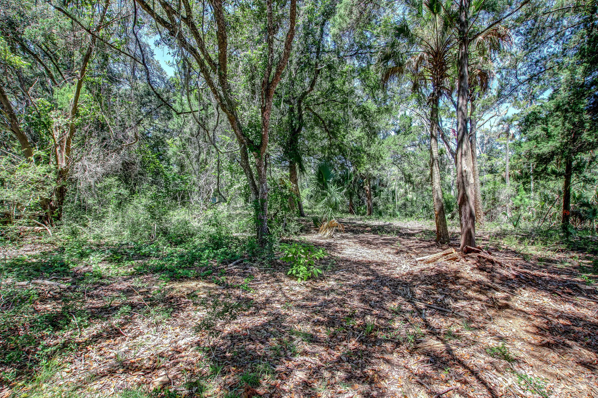 4-web-or-mls-River Landing Lot 50-4