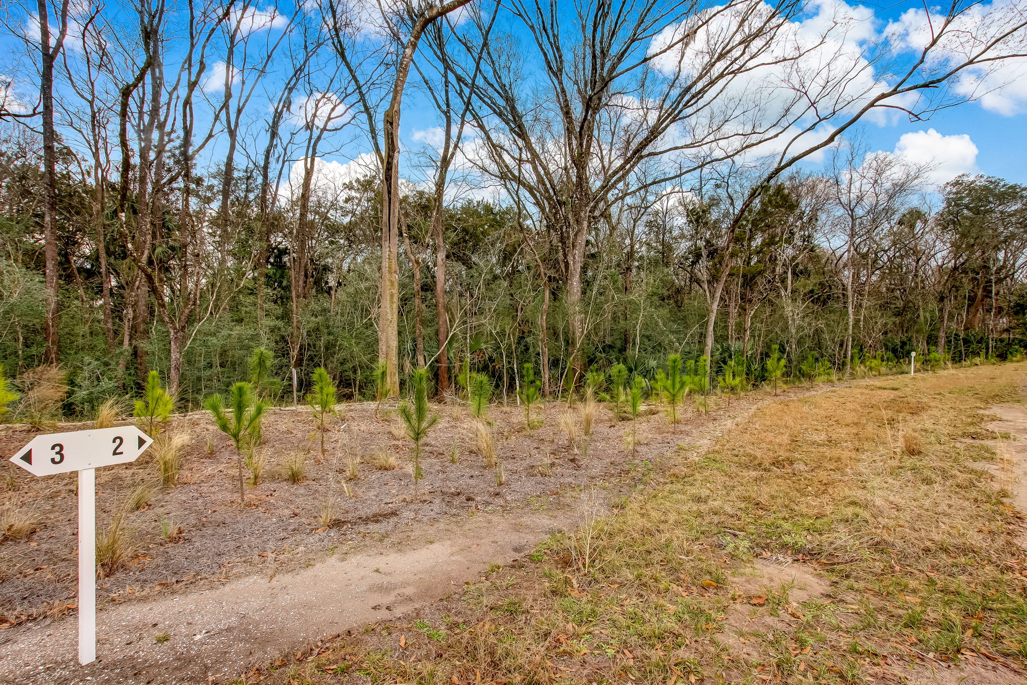 5-web-or-mls-5_River Landing - Lot 2