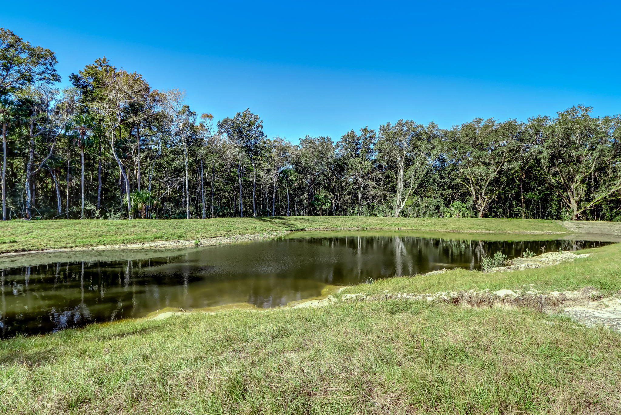 5-web-or-mls-8 November JN Riverview Plot - VB-5