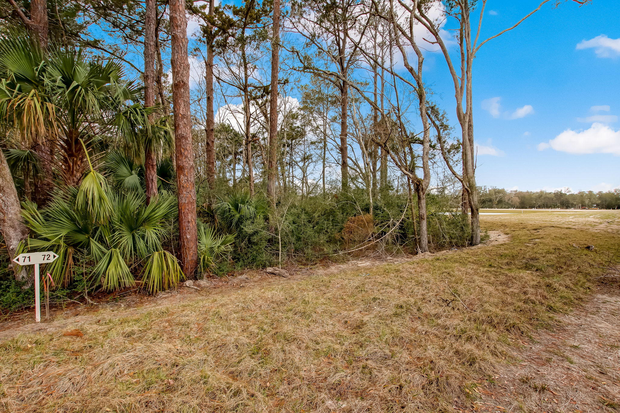 6-web-or-mls-6_River Landing - Lot 72