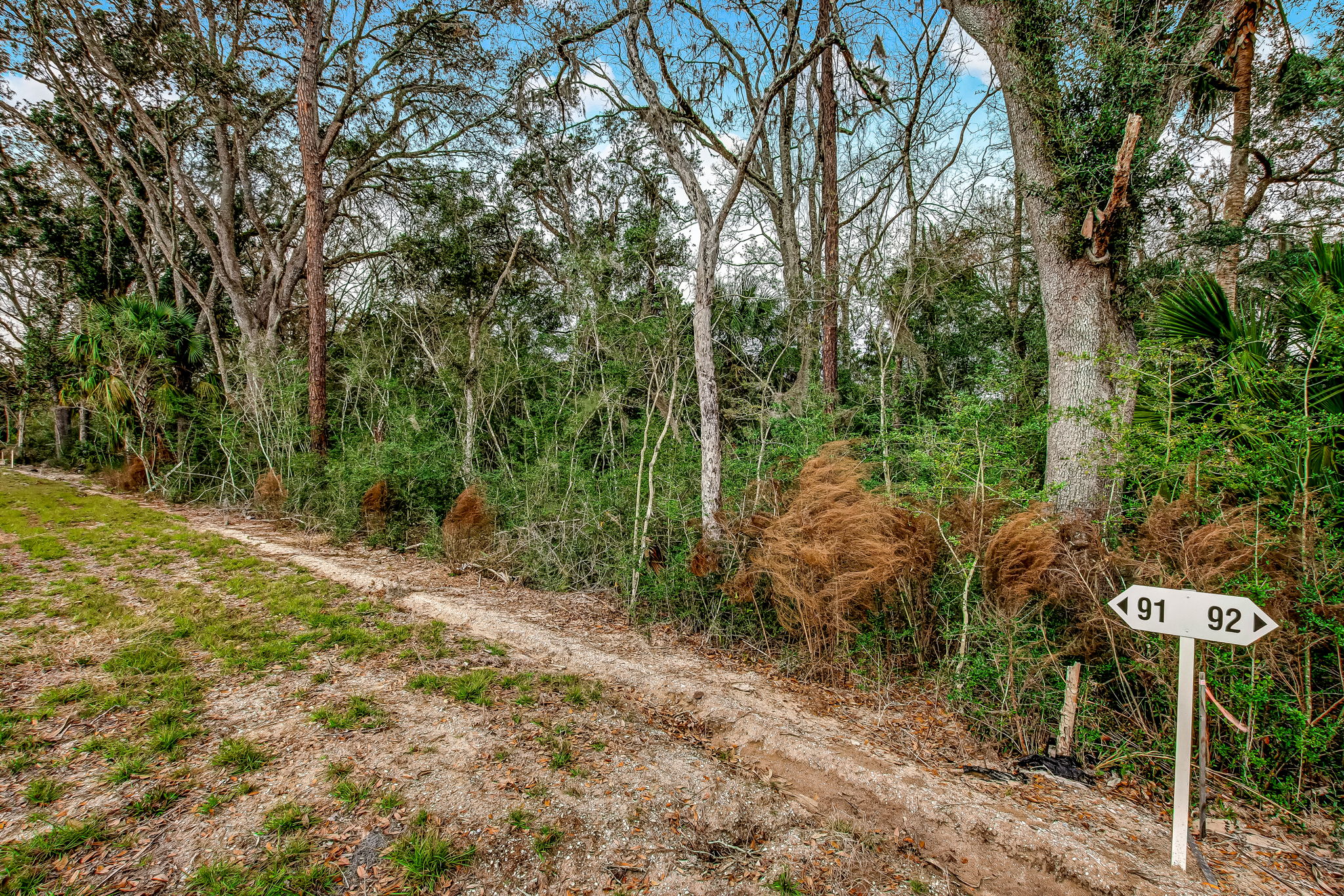 6-web-or-mls-6_River Landing - Lot 91