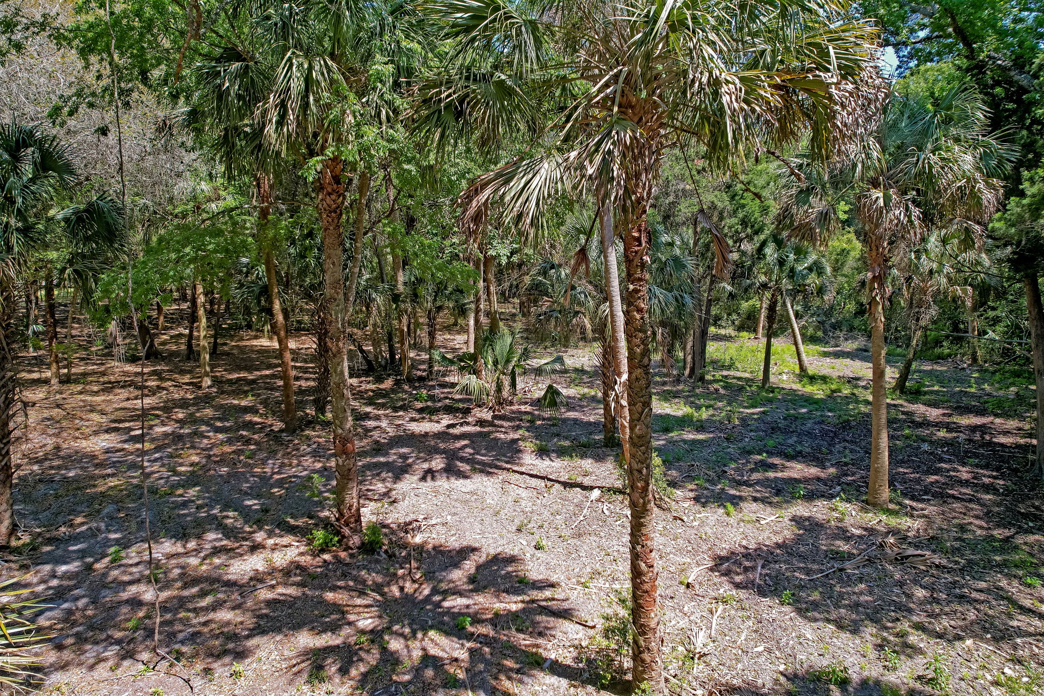 6-web-or-mls-6_River Landing Lot 29