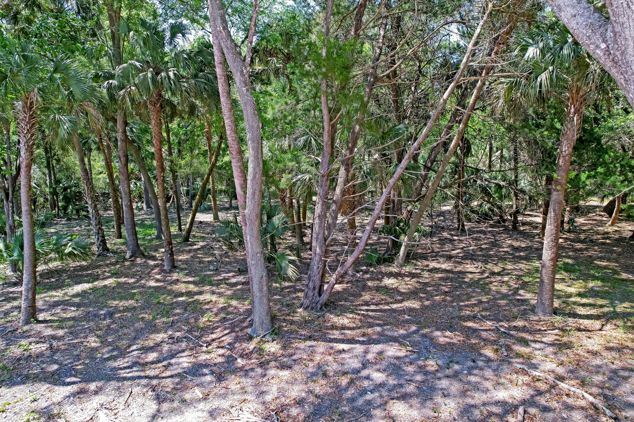 6-web-or-mls-6_River Landing Lot 30