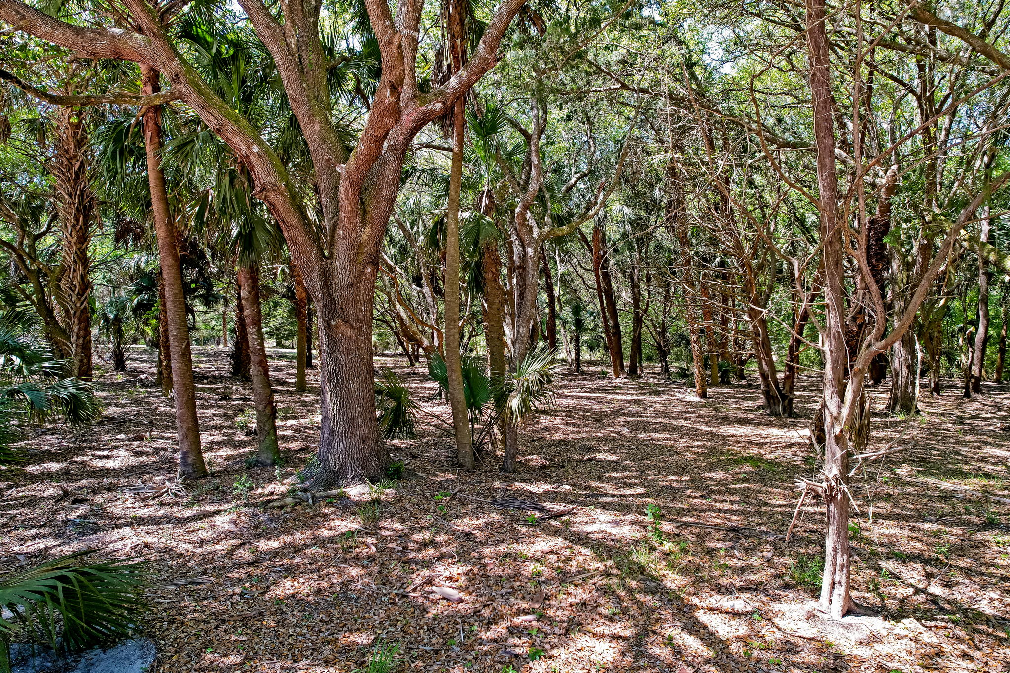 6-web-or-mls-6_River Landing Lot 34