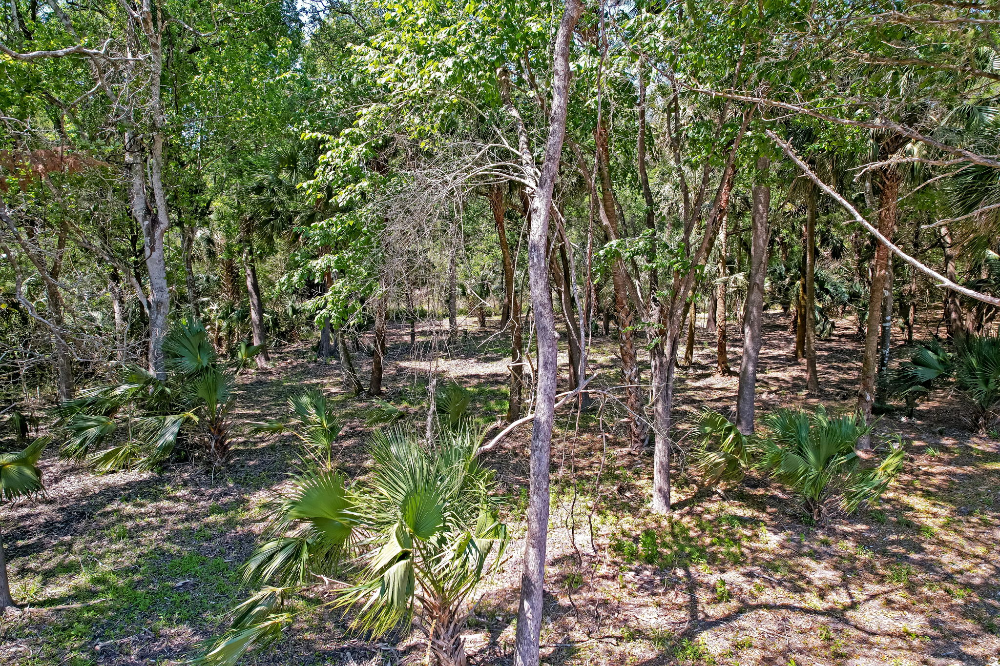 7-web-or-mls-7_River Landing Lot 30