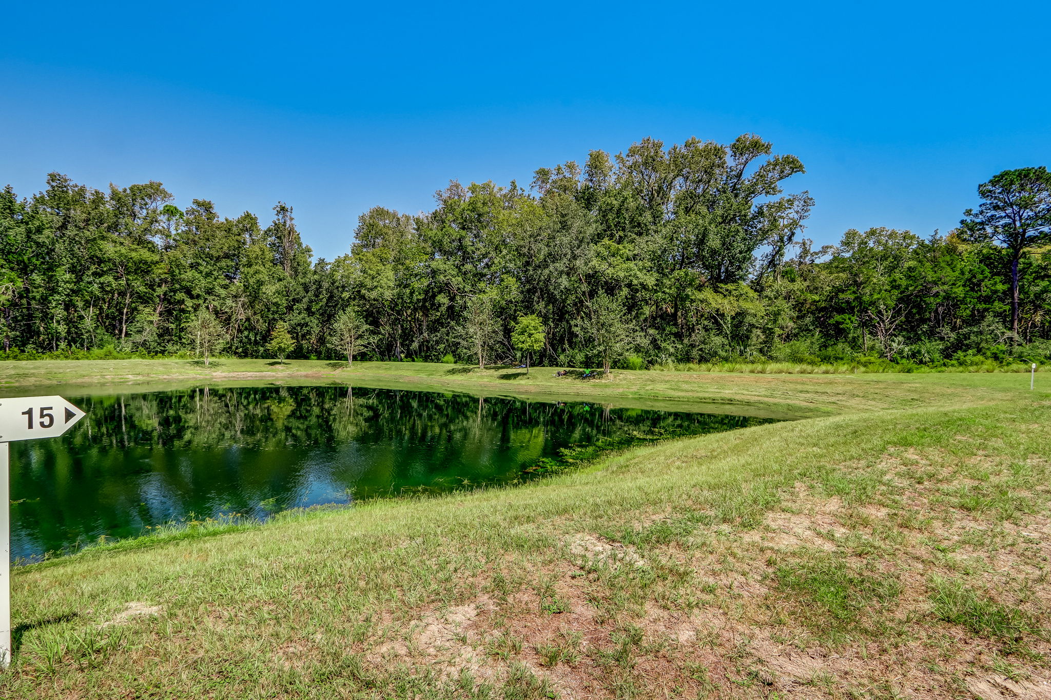 8-web-or-mls-8_River Landing Lot 15