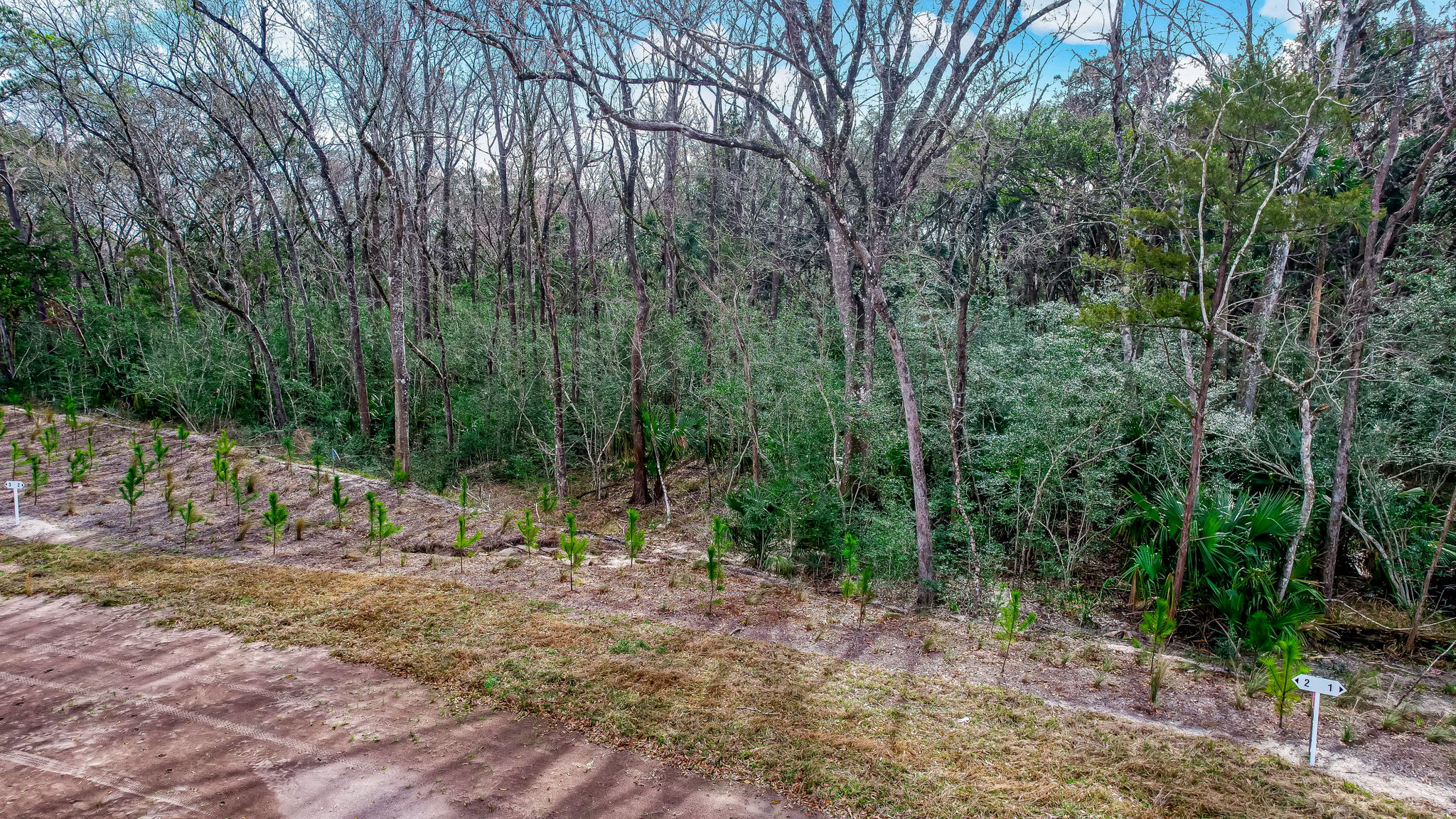 9-web-or-mls-9_River Landing - Lot 2