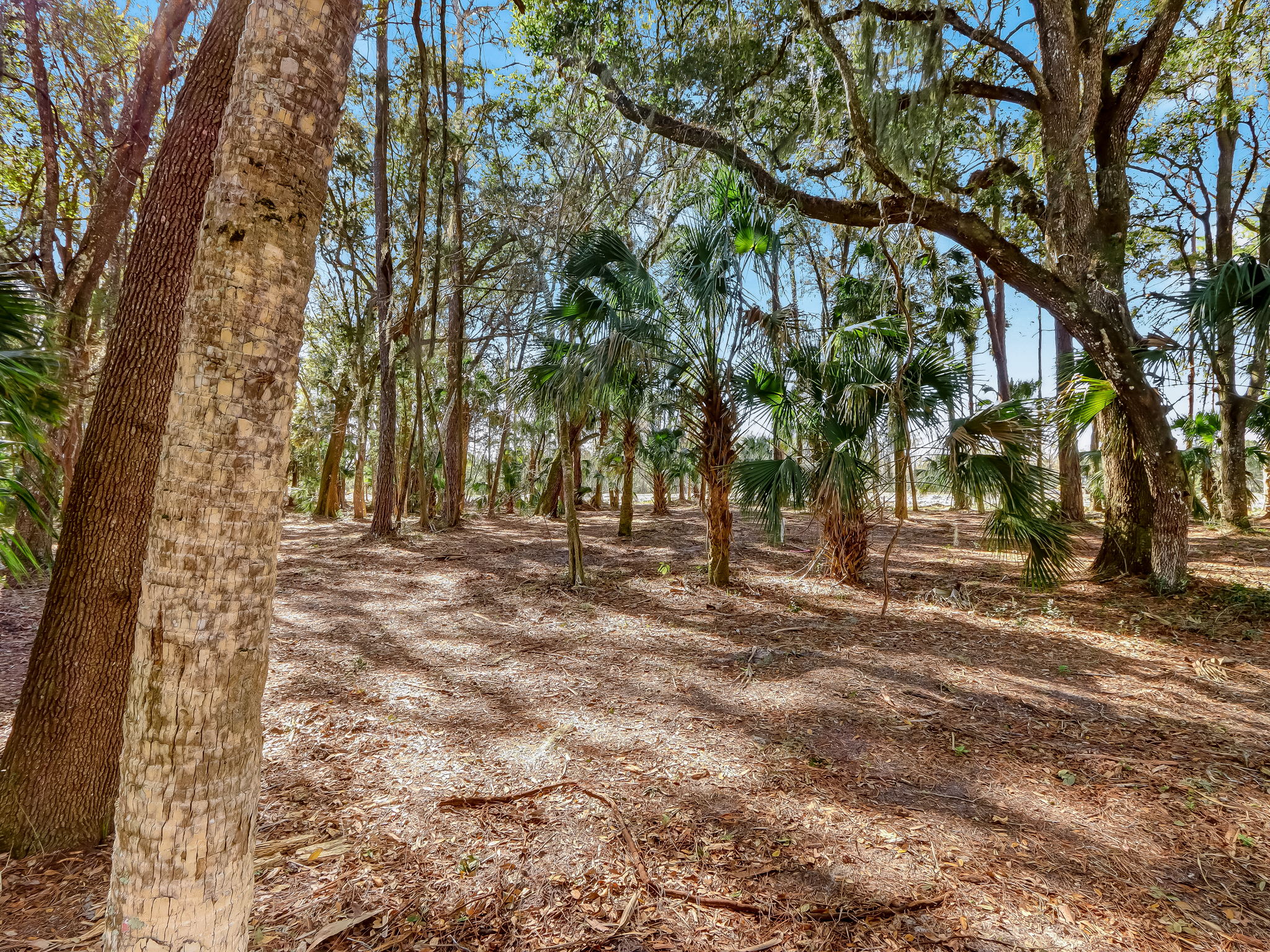 9-web-or-mls-9_River Landing Lot 63