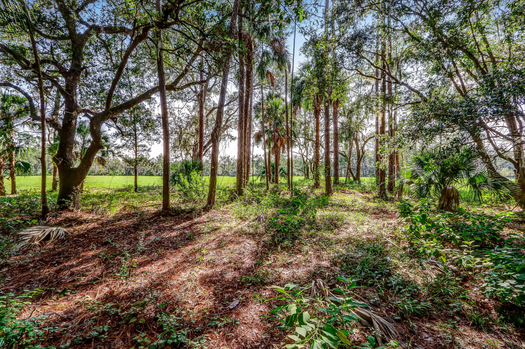 9-web-or-mls-9_River Landing Lot 66