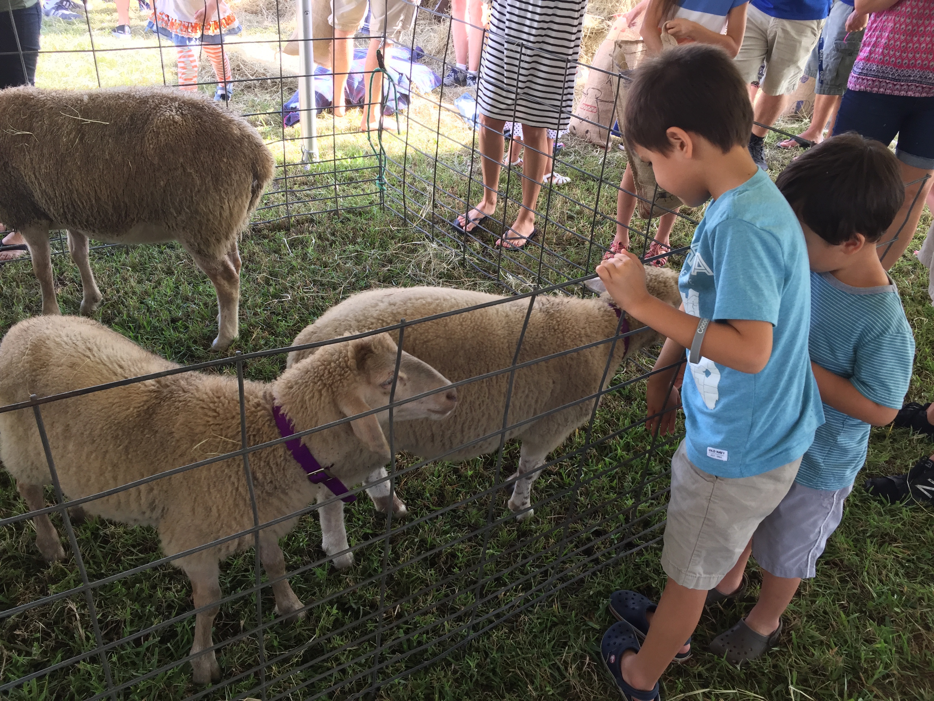 Nocatee Farmers Market