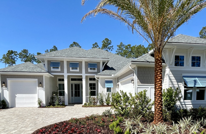 palmetto-neighborhood
